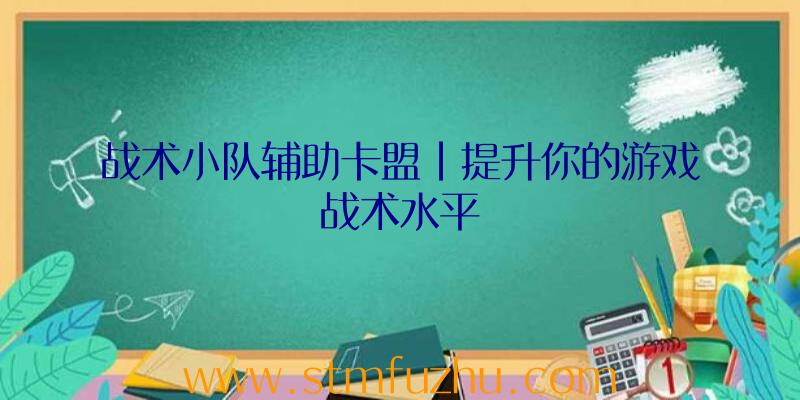 战术小队辅助卡盟|提升你的游戏战术水平